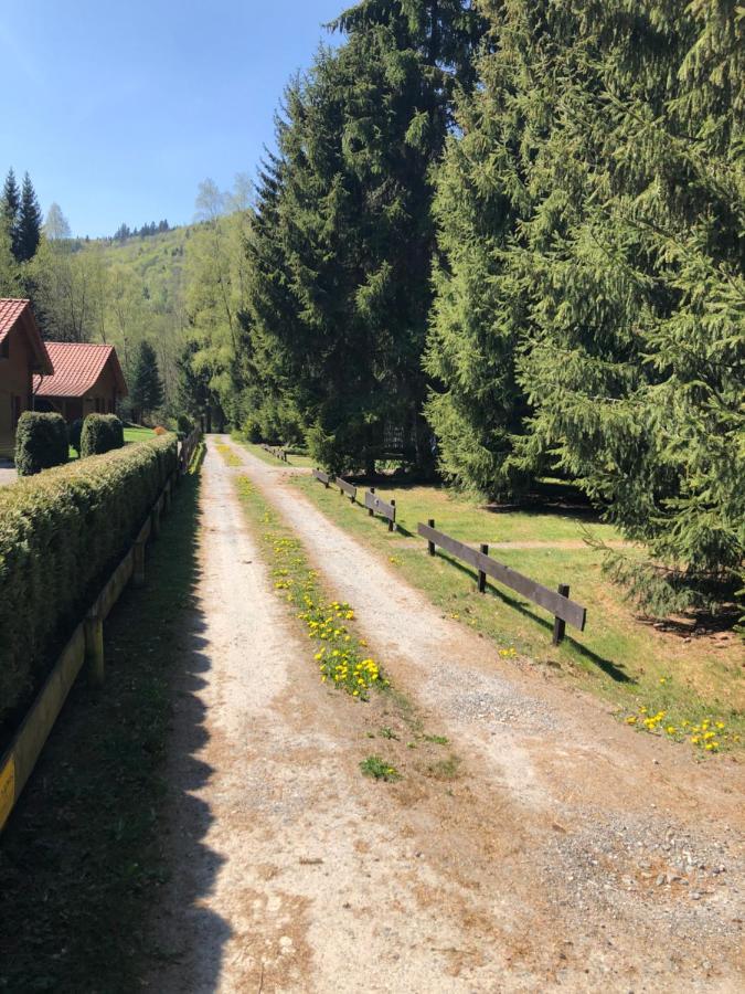 Ferienhäuser Am Waldschlößchen Lautenthal Exterior foto