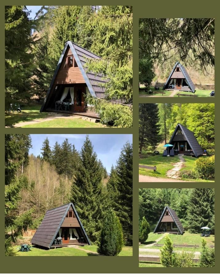 Ferienhäuser Am Waldschlößchen Lautenthal Exterior foto