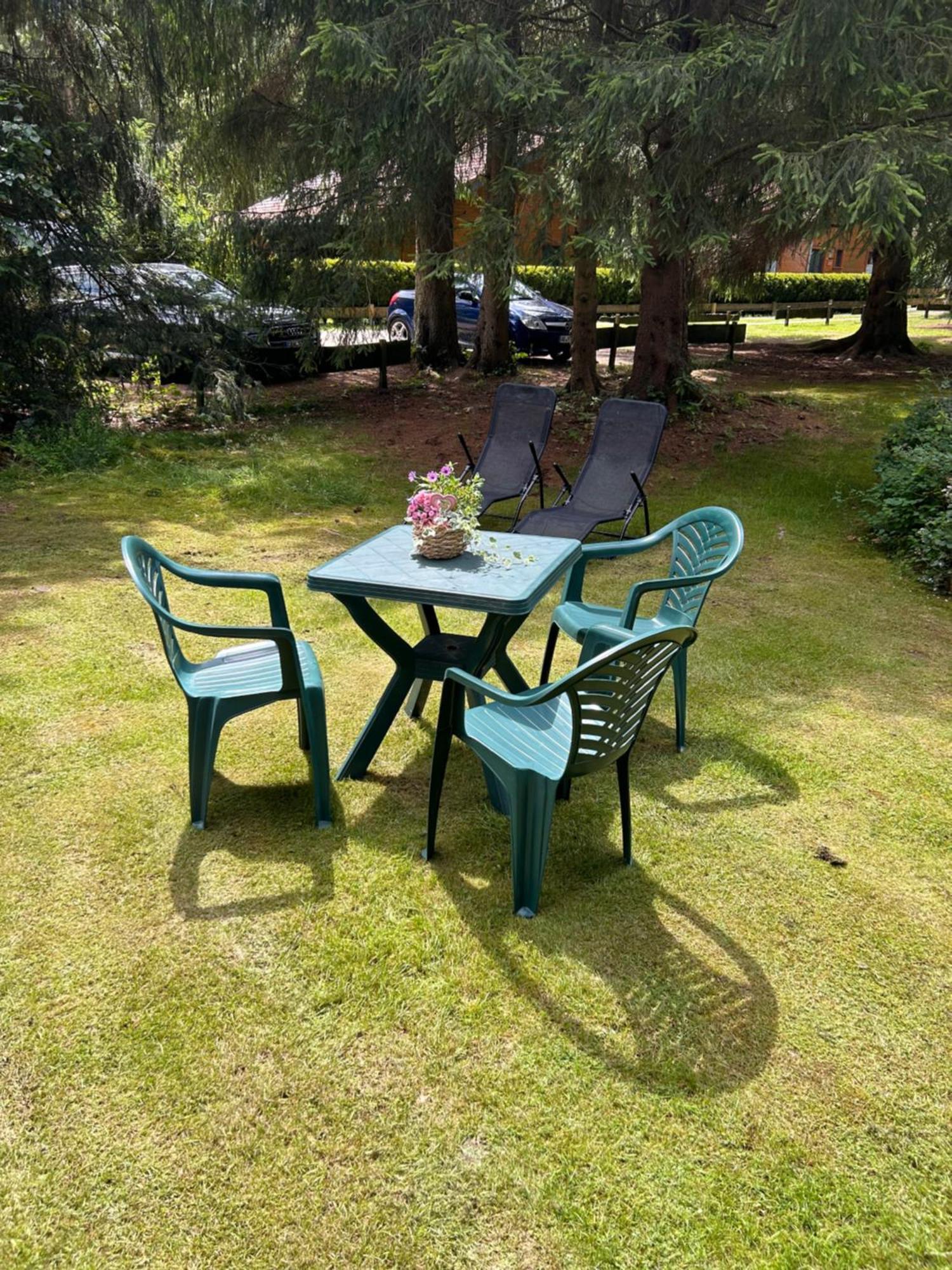 Ferienhäuser Am Waldschlößchen Lautenthal Exterior foto