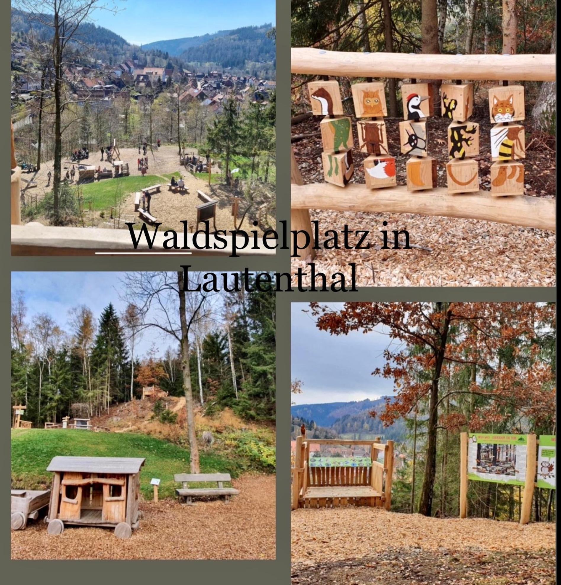 Ferienhäuser Am Waldschlößchen Lautenthal Exterior foto