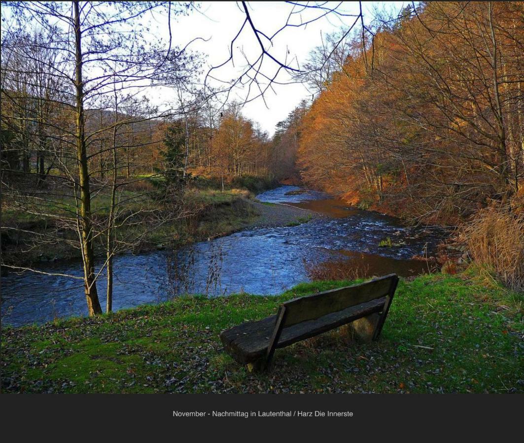 Ferienhäuser Am Waldschlößchen Lautenthal Exterior foto